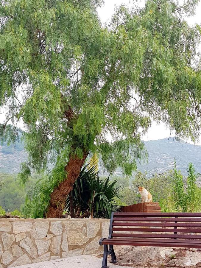 La Ultima Casa Masboquera Villa Mas Boquera Dış mekan fotoğraf