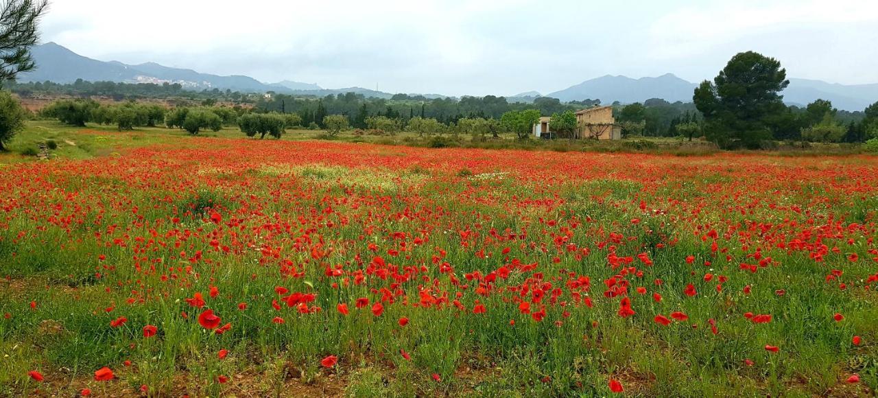 La Ultima Casa Masboquera Villa Mas Boquera Dış mekan fotoğraf